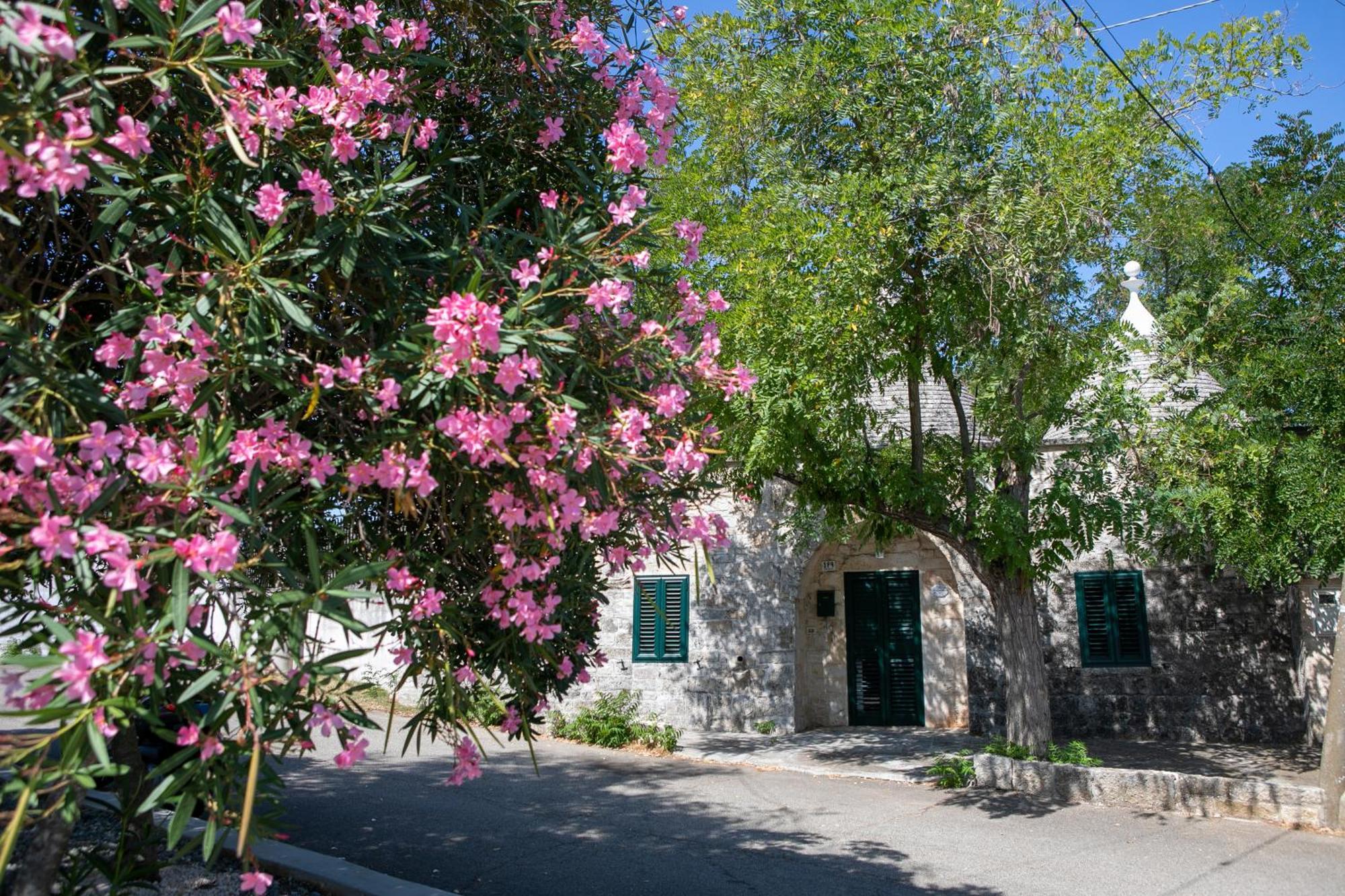 Angolo Di Puglia Locorotondo Exterior photo